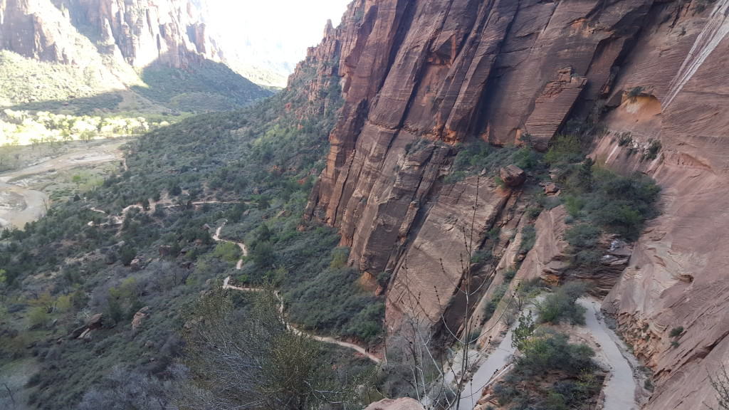 Zion National Park and Almost Dying While Hiking Angel’s Landing