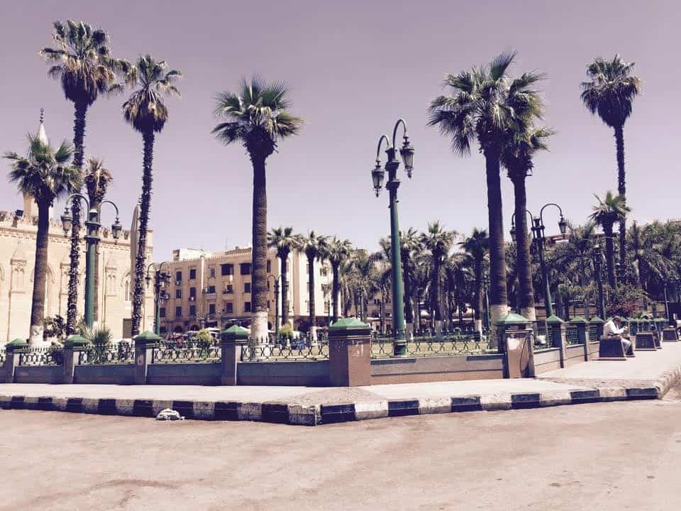 Scenery are one of the Pictures That Will Make You Want To Visit Cairo