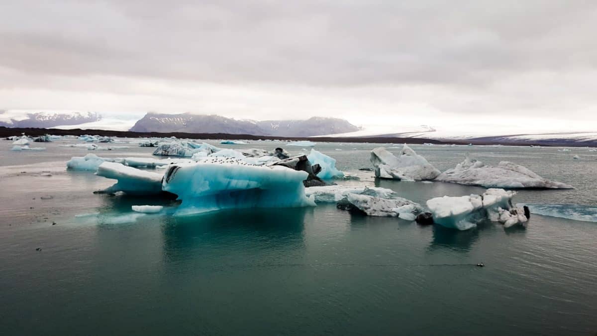 Icebergs are one of the 10 Reasons Iceland Should Be Your Next Trip