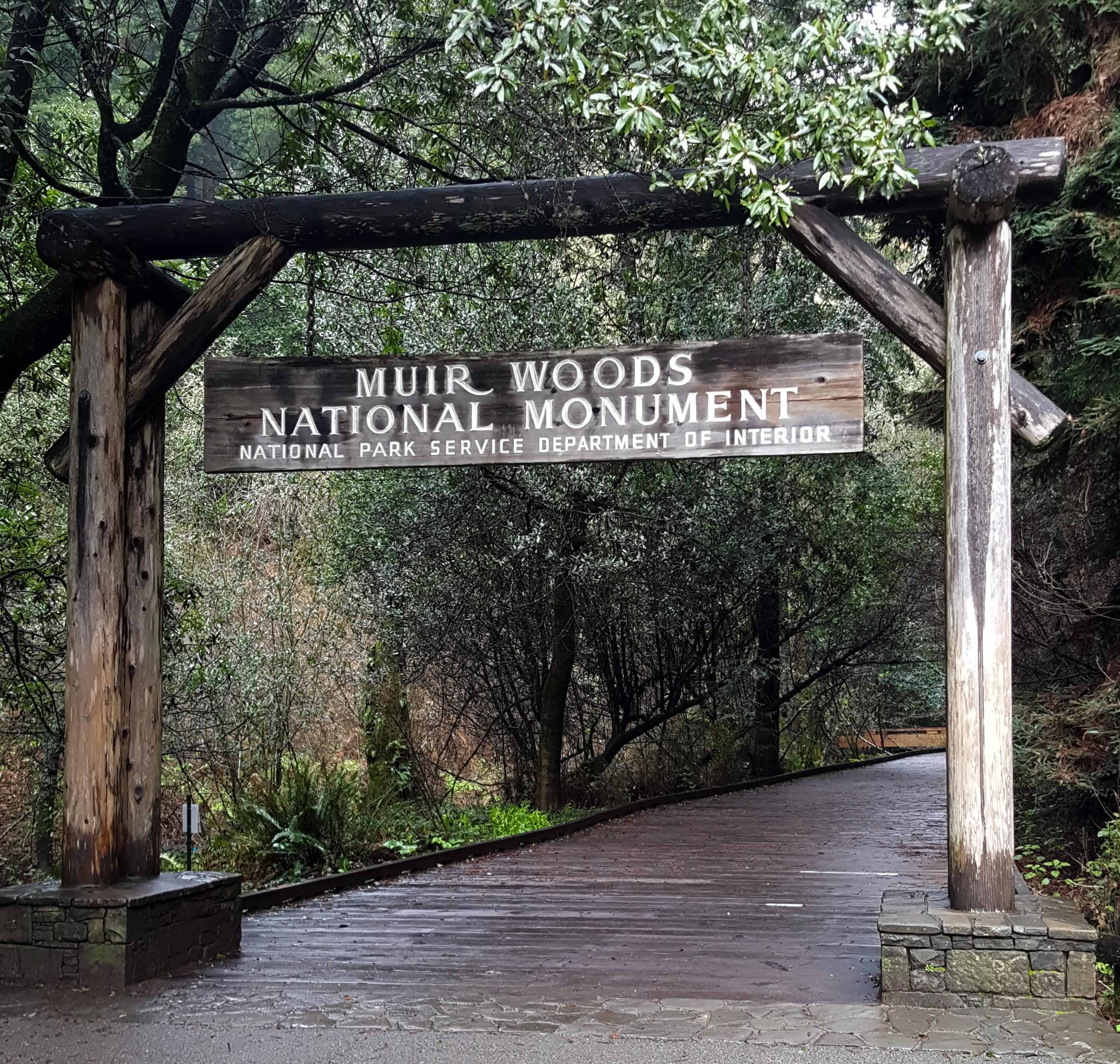 A DAY HIKING IN MUIR WOODS - Mile Marker Memories