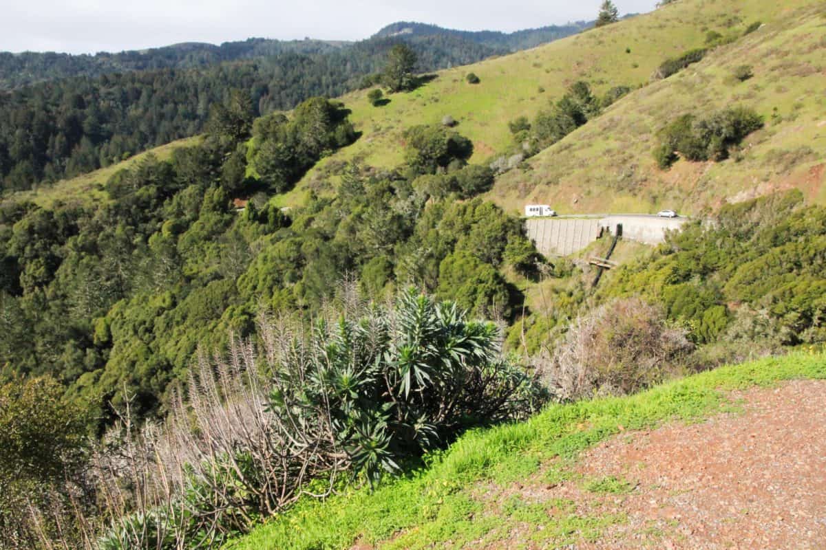 Look outs - Tips for Visiting Muir Woods National Monument