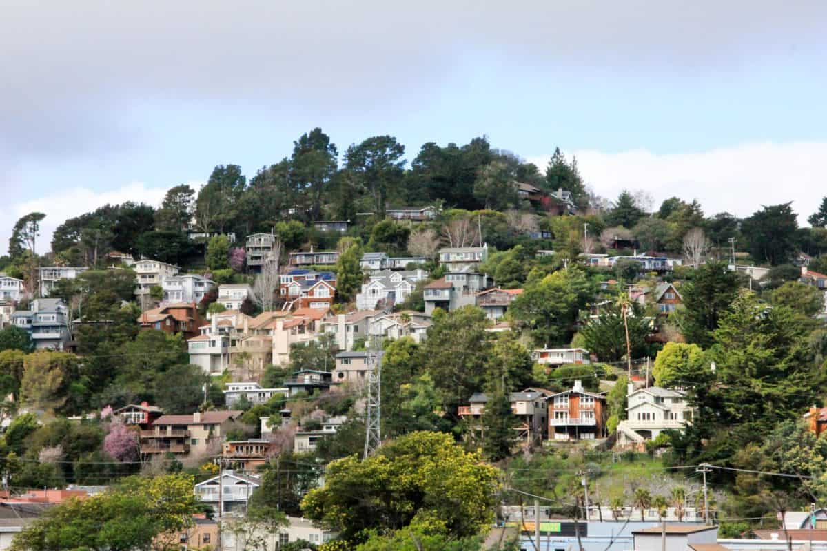 Road Trip - Tips for Visiting Muir Woods National Monument