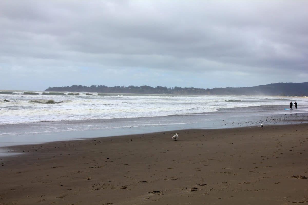 Stinson Beach - Tips for Visiting Muir Woods National Monument