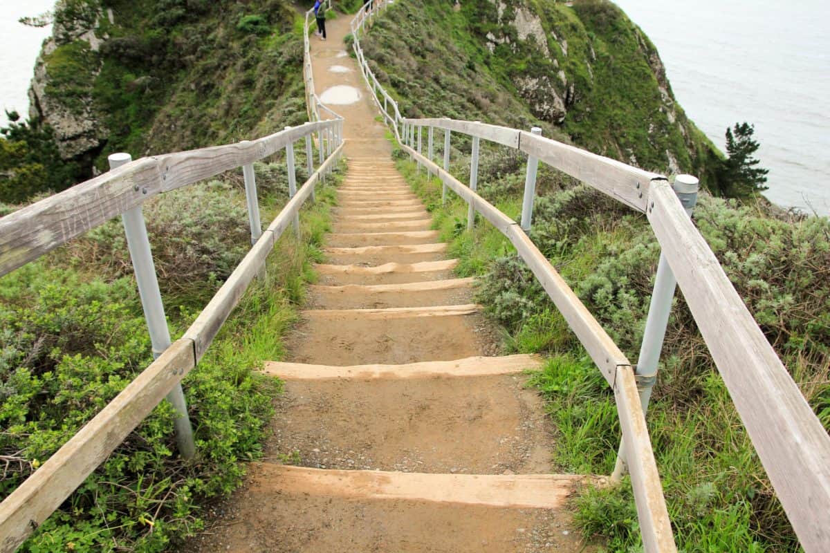 Muir Lookout - Tips for Visiting Muir Woods National Monument