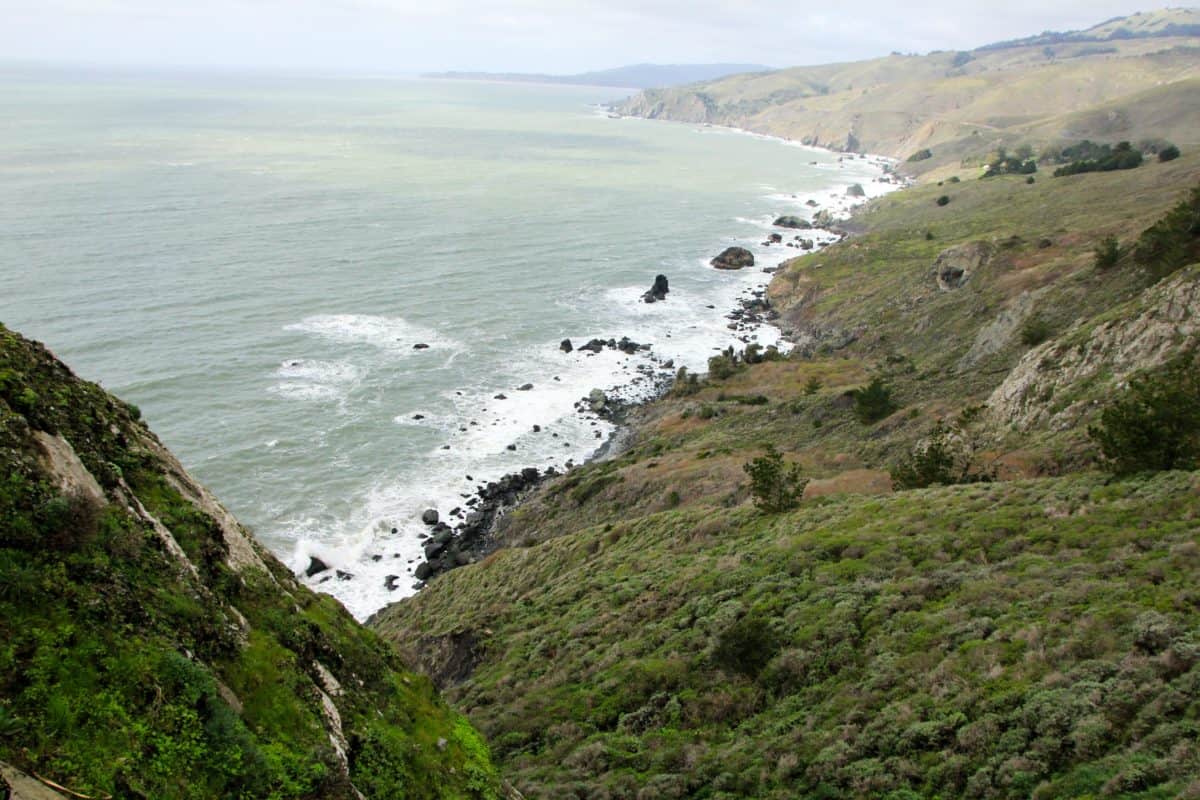 Muir Lookout - Tips for Visiting Muir Woods National Monument