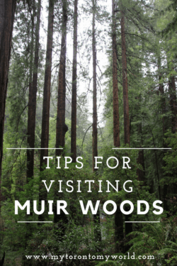 Tips for Visiting Muir Woods National Monument