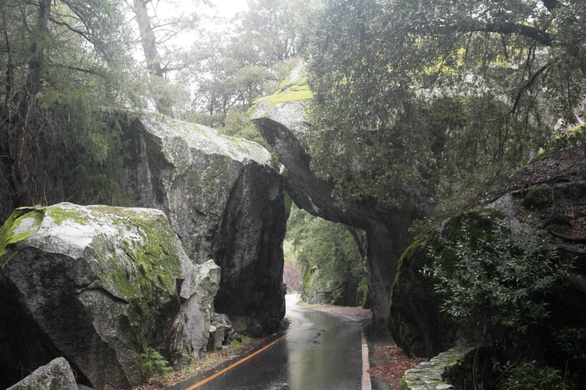 Yosemite National Park