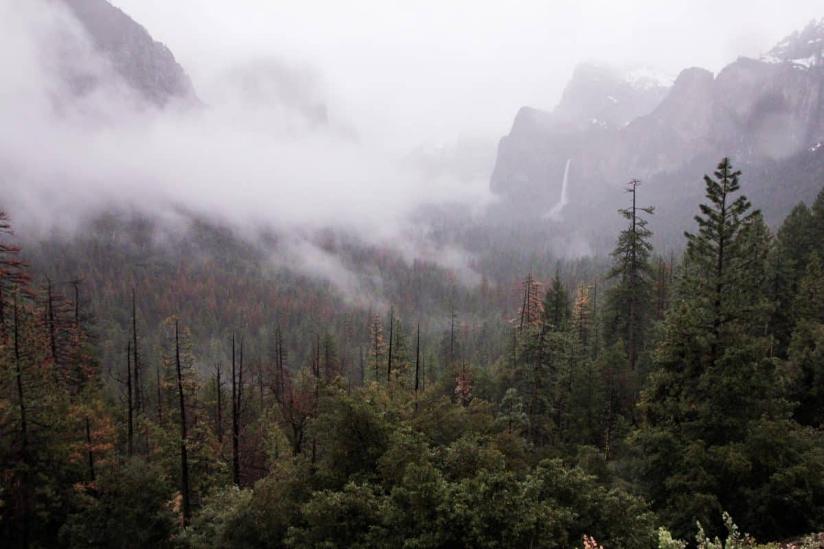 Yosemite National Park