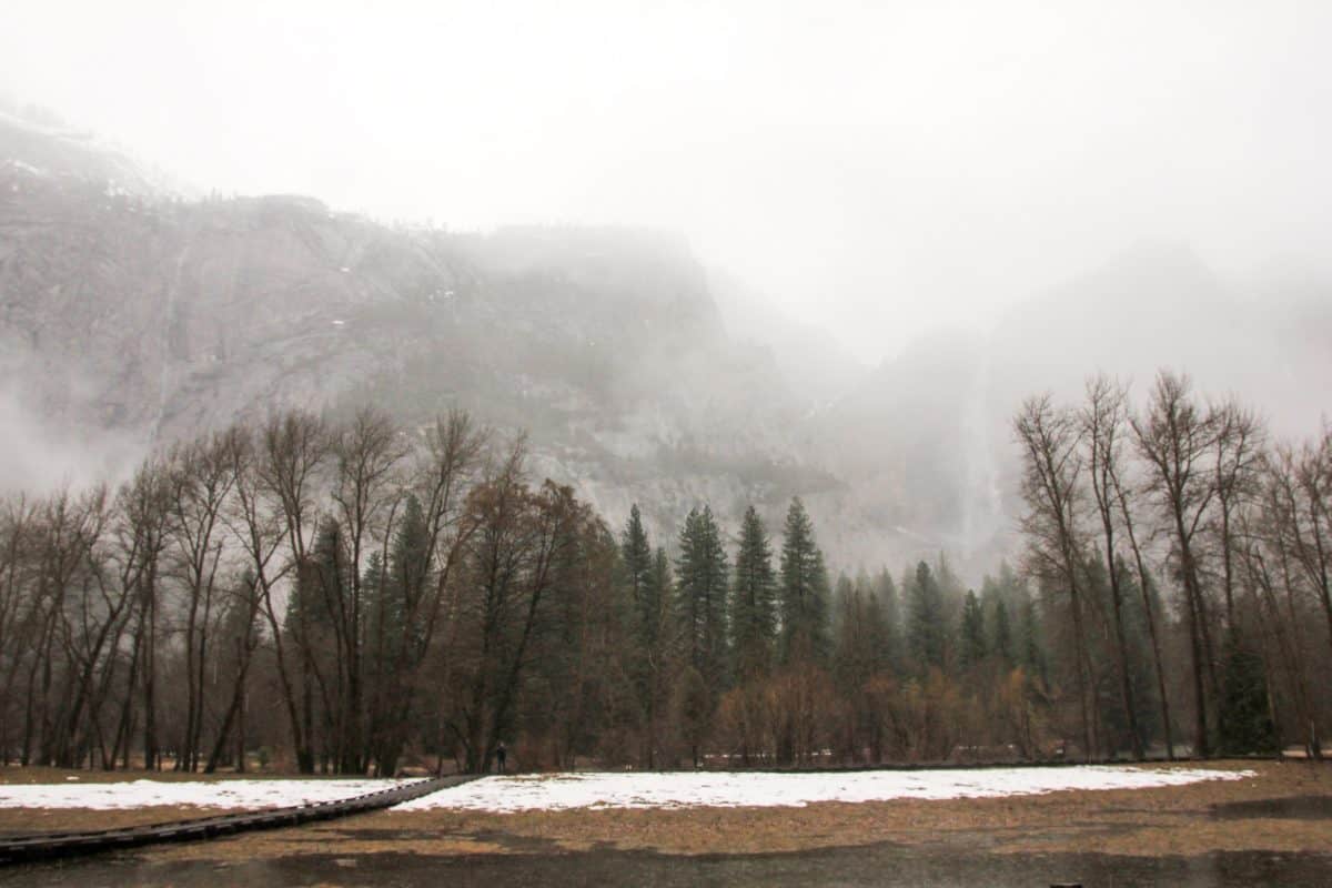 Yosemite National Park