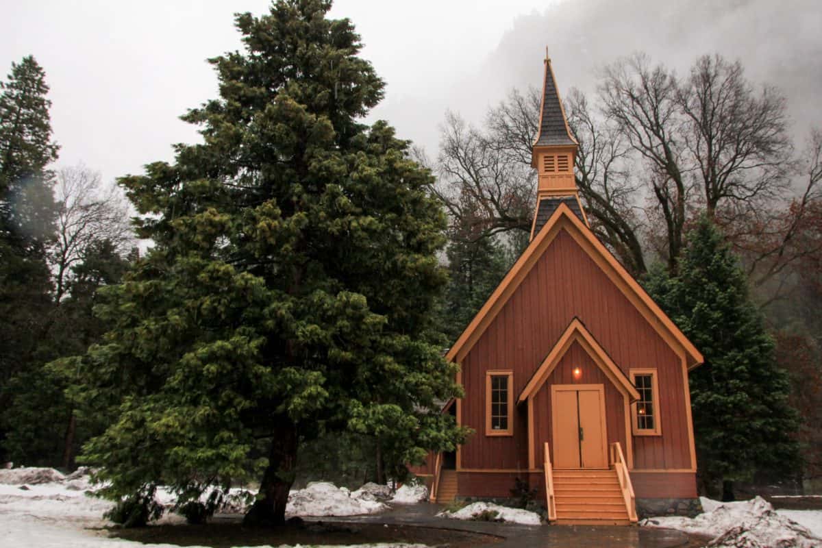 15 Pictures That Prove Yosemite National Park Is Worth A Visit in the Rain