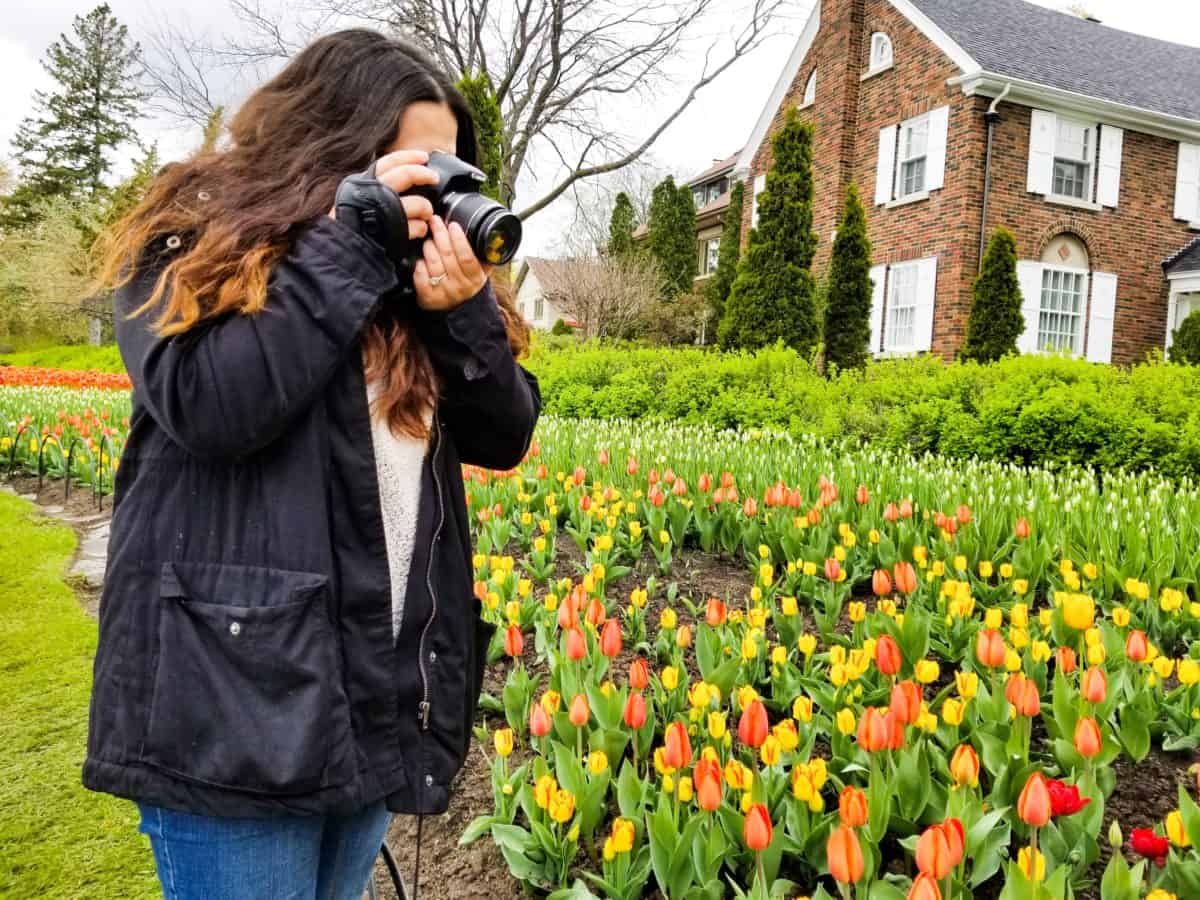 Ottawa Tulip Festival