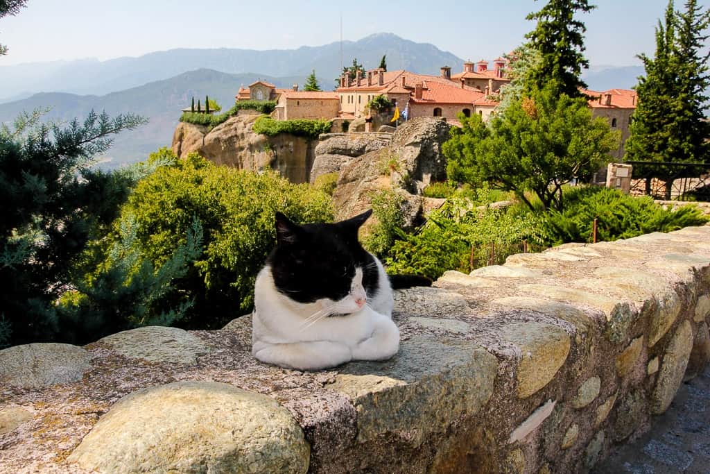 Cats in front of St. Stephen's Monastery at the Meteora Monasteries