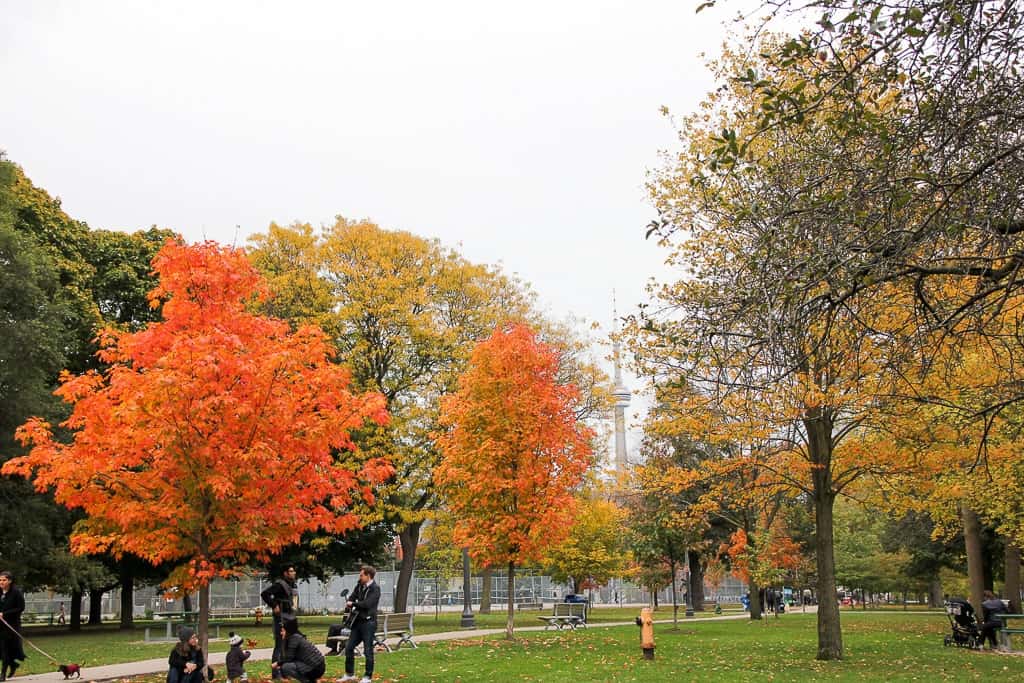 The Very Best Places To Experience the Toronto Fall Colours