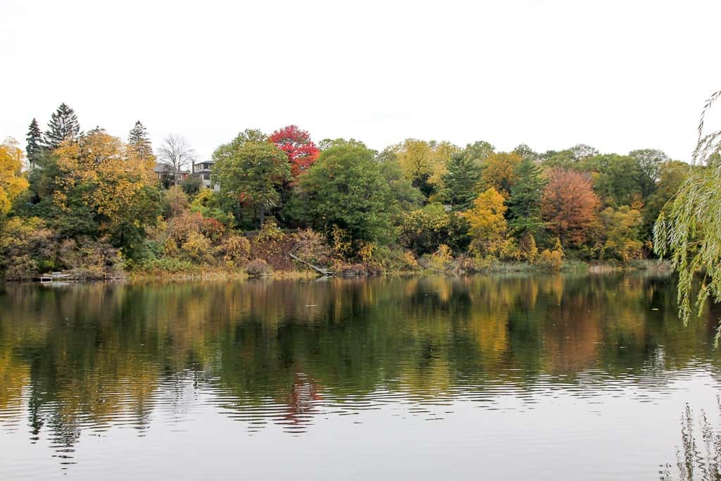 Toronto Fall