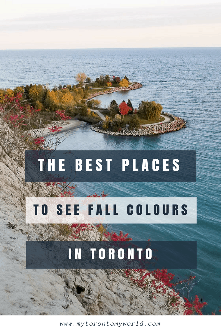 The Very Best Places to see the Toronto Fall Colours