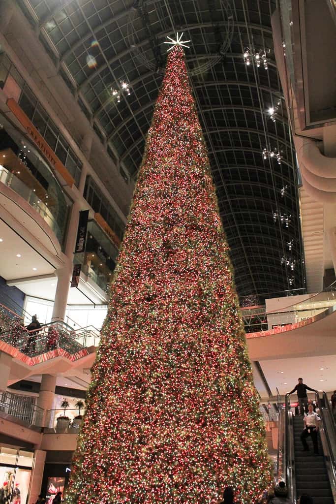 how to celebrate Christmas in toronto