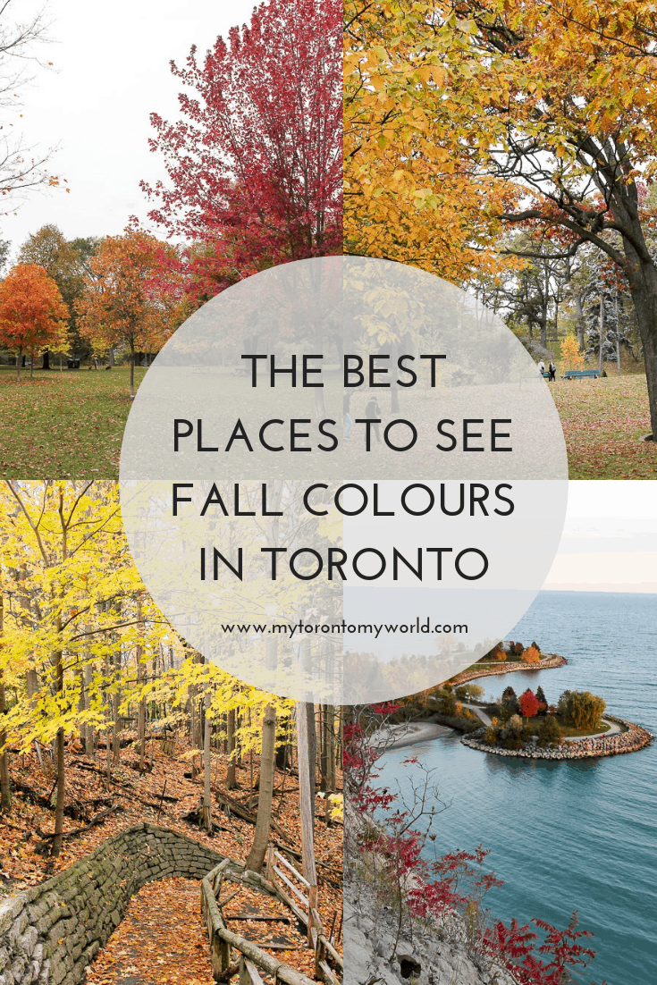 Toronto Fall Colours