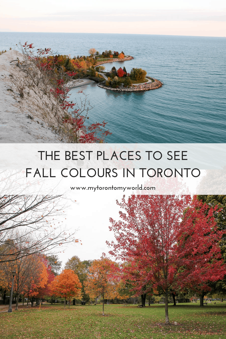 Toronto Fall Colours