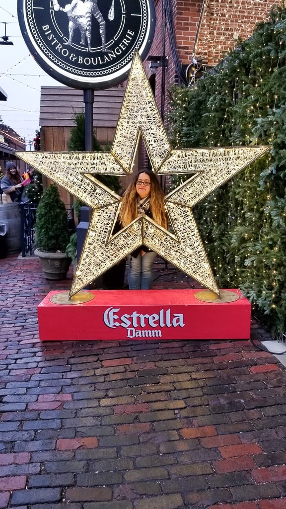 Toronto Christmas Market Exhibit