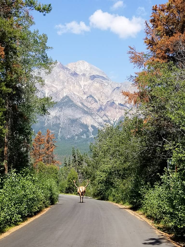 Alberta is a favorite travel moment