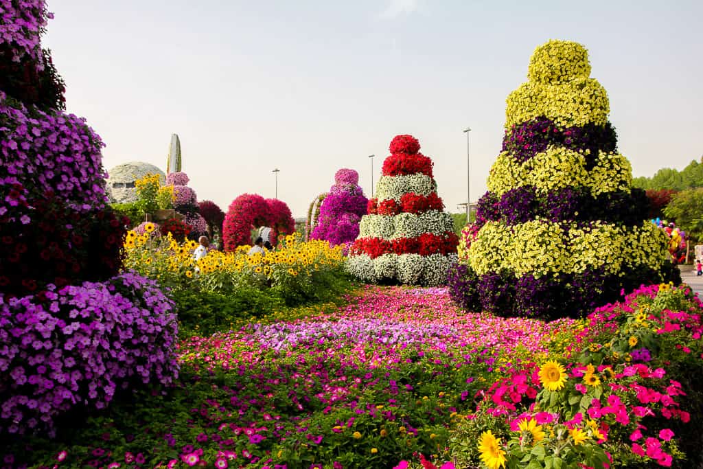 Look at all those colours! Look at all those colours!
