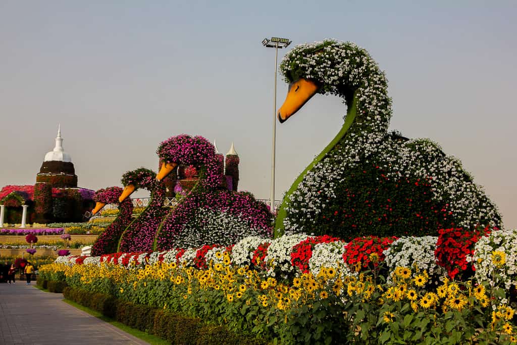 Giant floral display at Miracle Garden