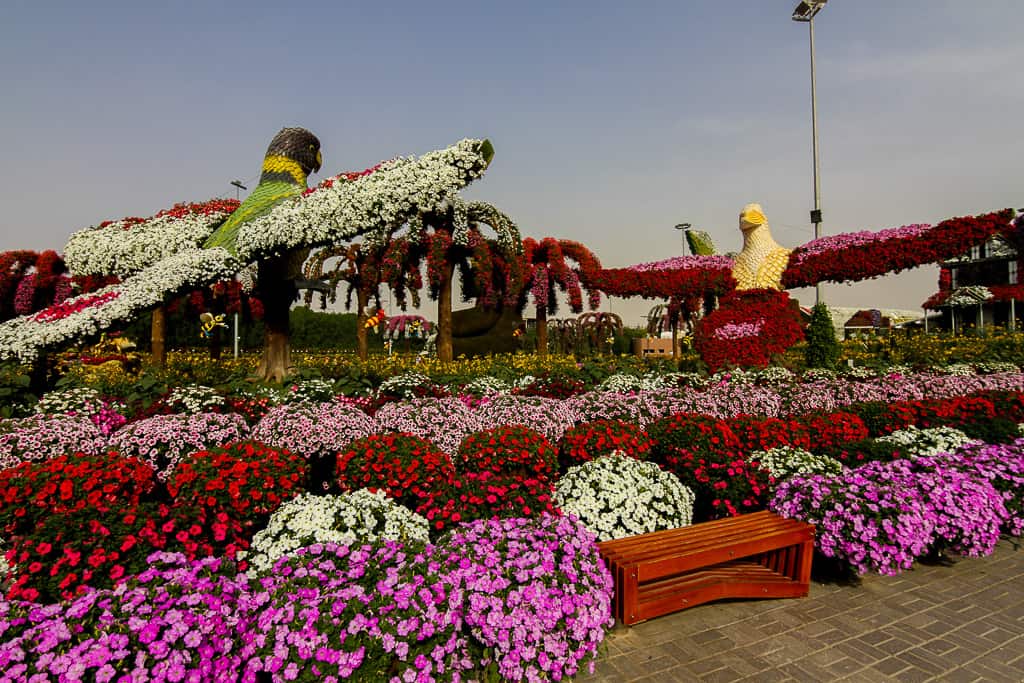 Flower installation of birds at Dubai Miracle Garden Flower installation of birds at Dubai Miracle Garden