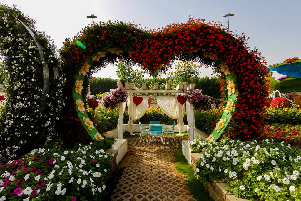 Floral display where you can eat a packed lunch at Dubai Miracle Garden Floral display where you can eat a packed lunch at Dubai Miracle Garden