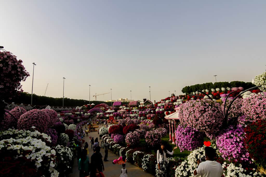 The crowds at Miracle Garden