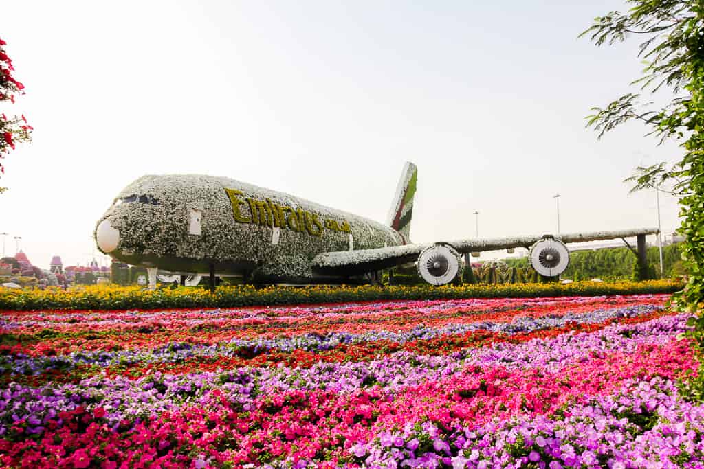 Miracle Garden