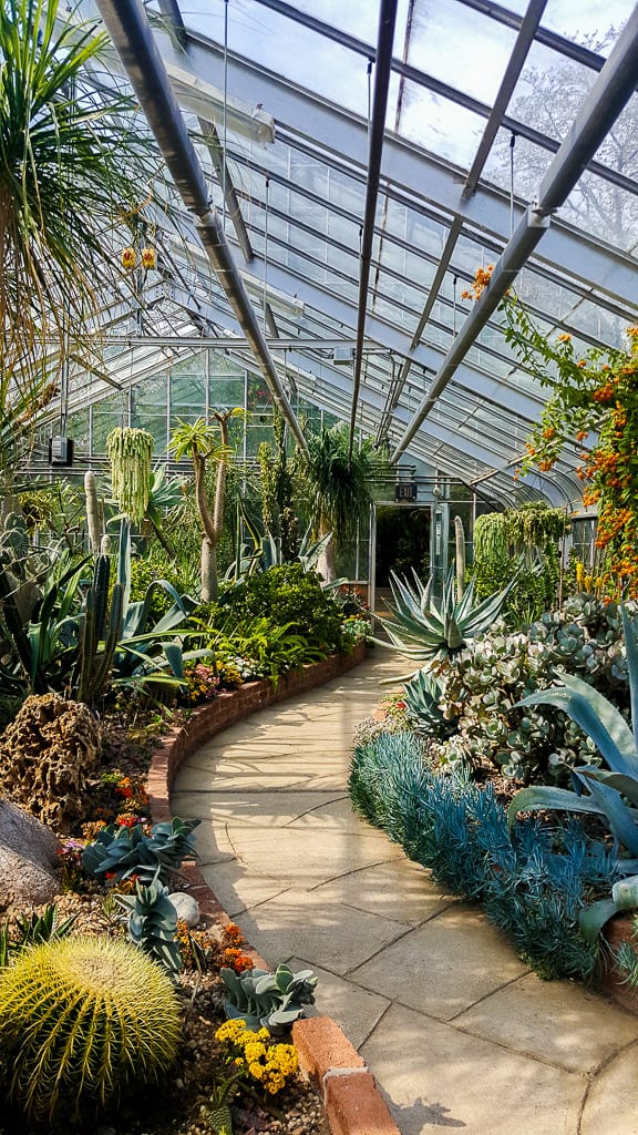 Toronto Conservatories Allan Gardens Cloud Gardens And