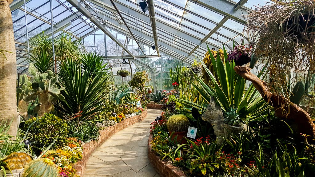 Toronto Conservatories: Allan Gardens, Cloud Gardens and Centennial Park Conservatory