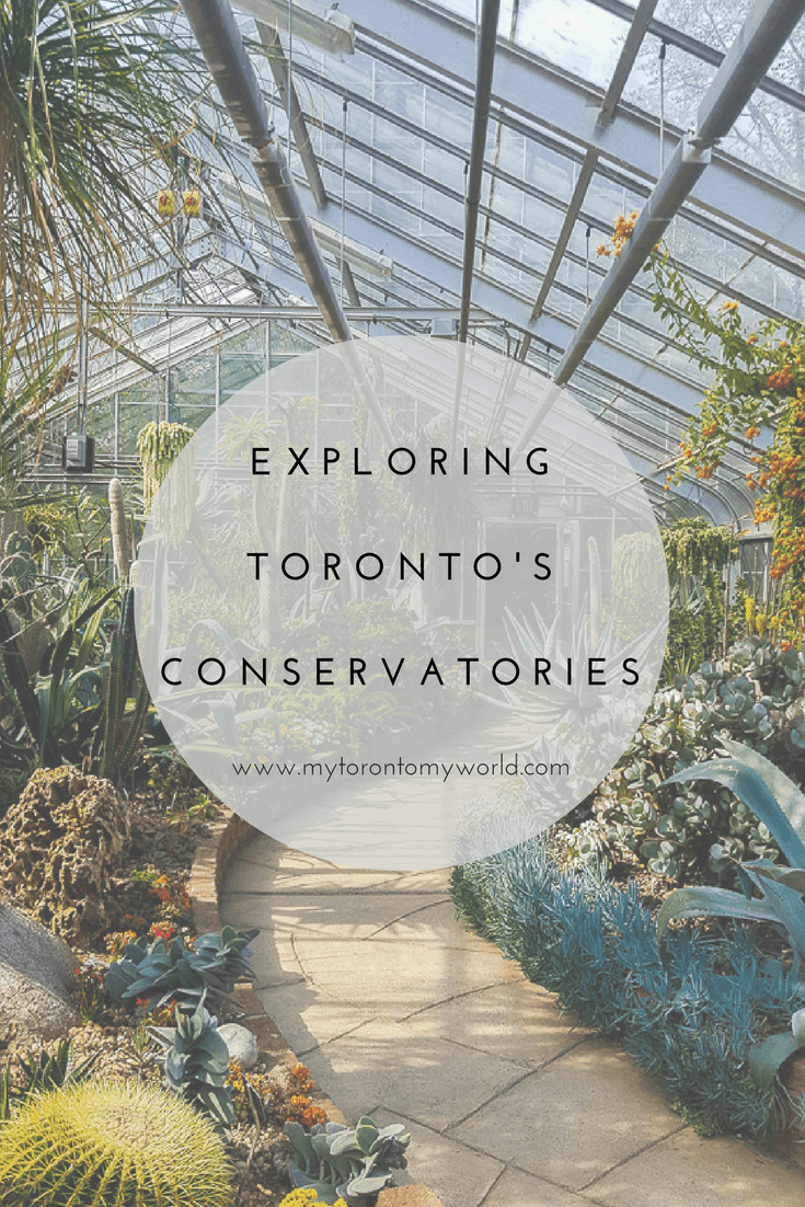 A guide to exploring Toronto's Conservatories including locations and opening hours and tons of pretty pictures for inspiration!