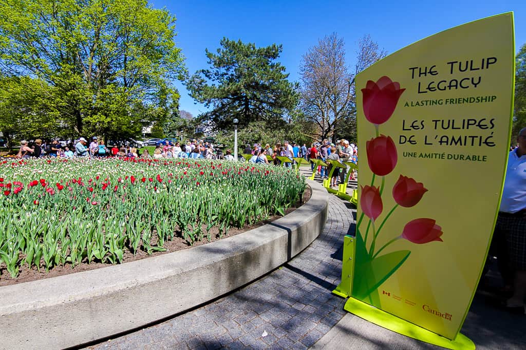 Ottawa Tulip Festival