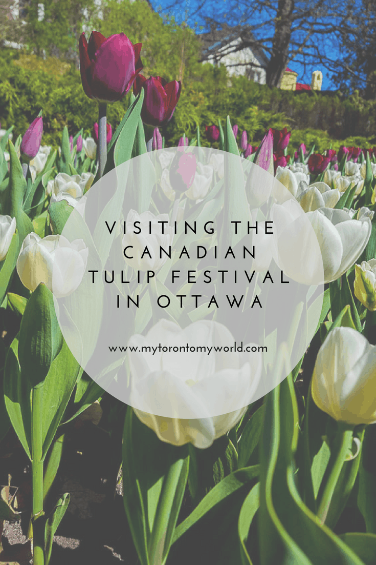 Ottawa Tulip Festival