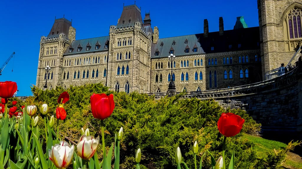 Depending on the time of year you visit the hill may be surrounded by tulips which is always worth a stop and some pictures!