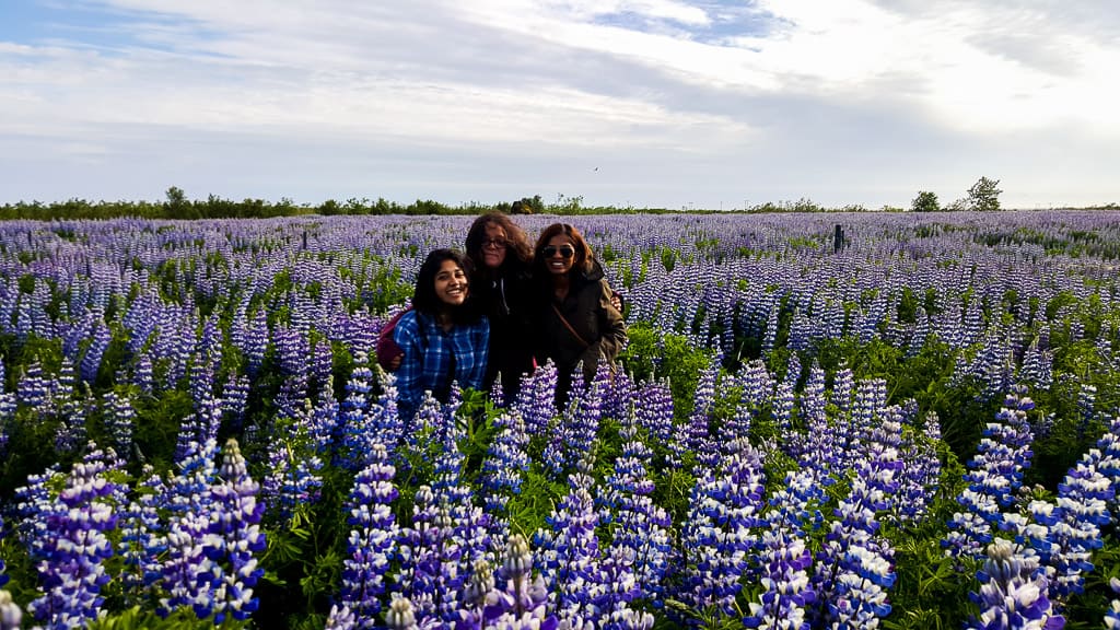 Lavender fields were pretty much made for photo shoots