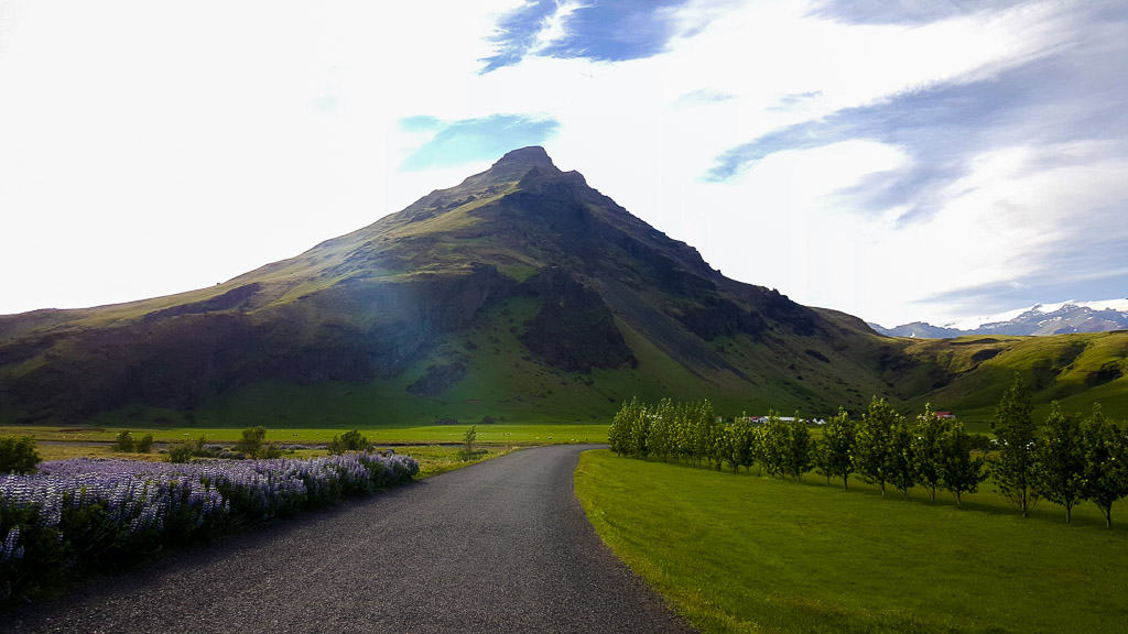 The road leading to the falls, you can see the lavender fields on the left