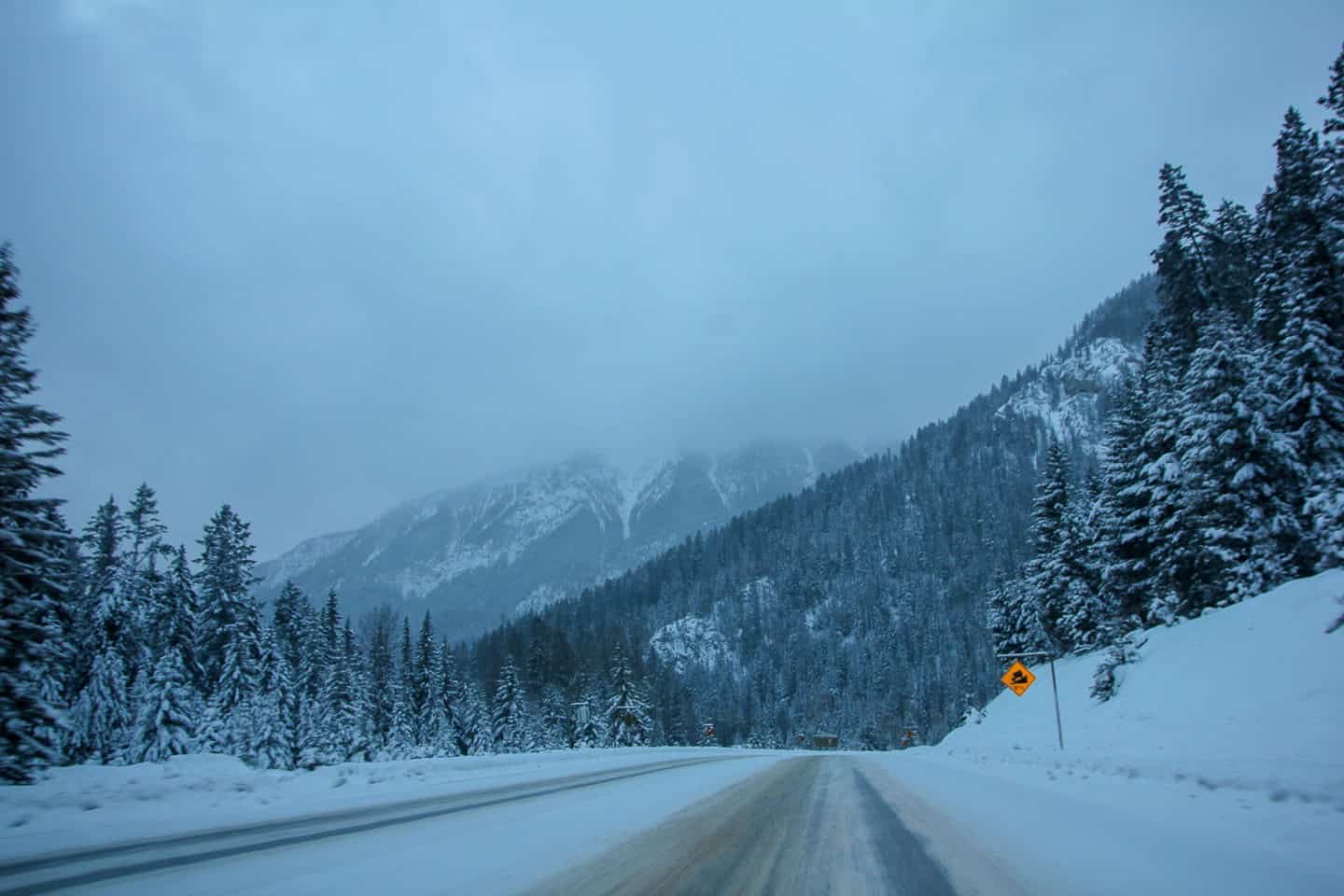 Road tripping in all seasons is one of the major reasons to visit Canada