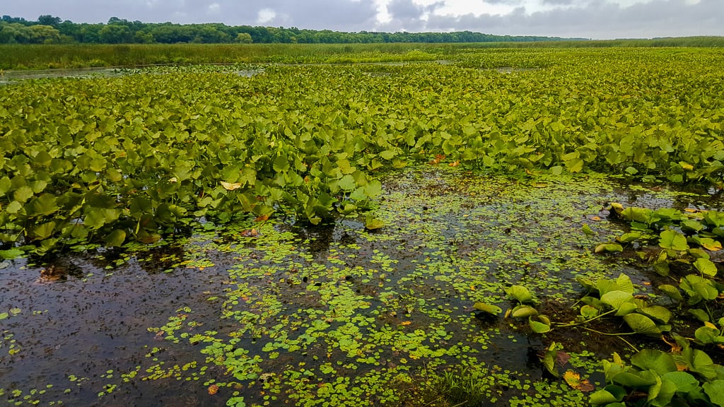 Things to do In Ontario this Summer to add to your Ontario Summer Bucket List