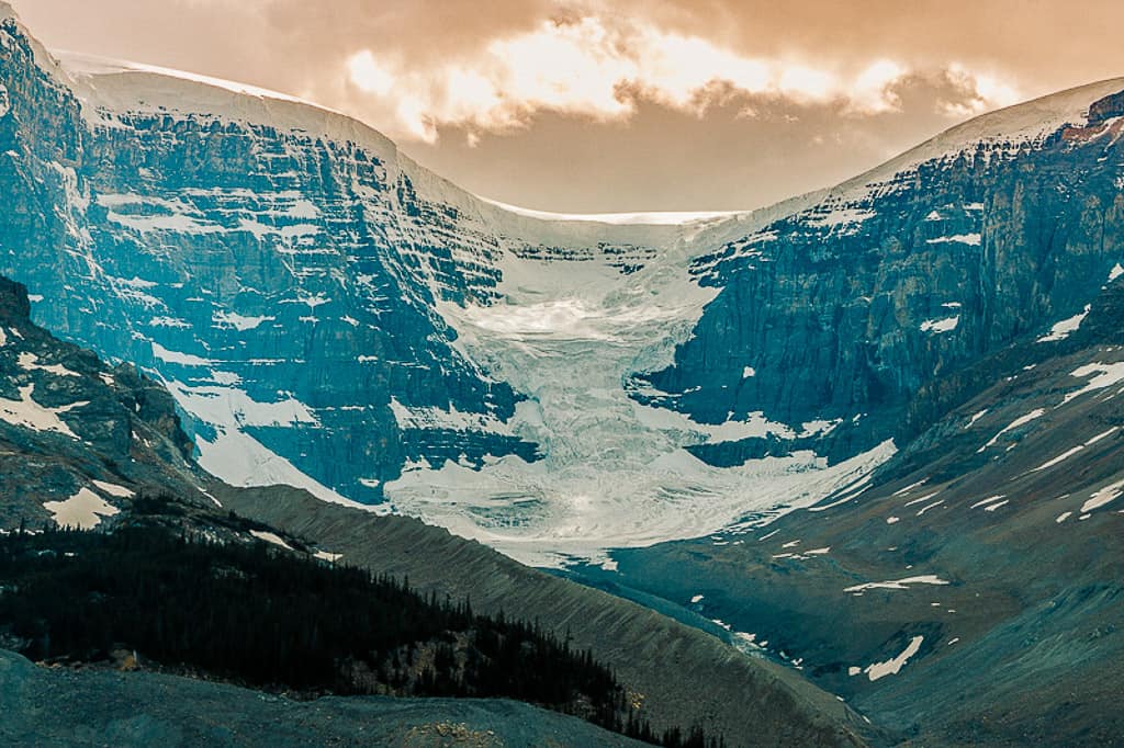 Wilcox Trail in the Columbia Icefields in Jasper National Park is one of the most beautiful places in Canada