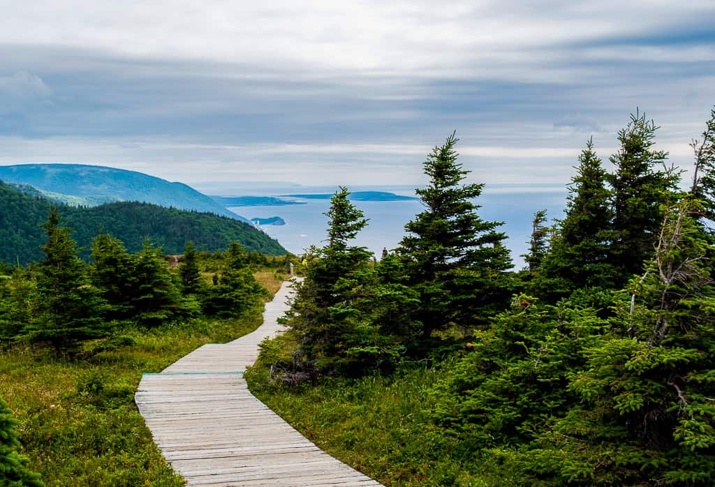 The Skyline Trail in Cape Breton in Nova Scotia is one of the most beautiful places in Canada