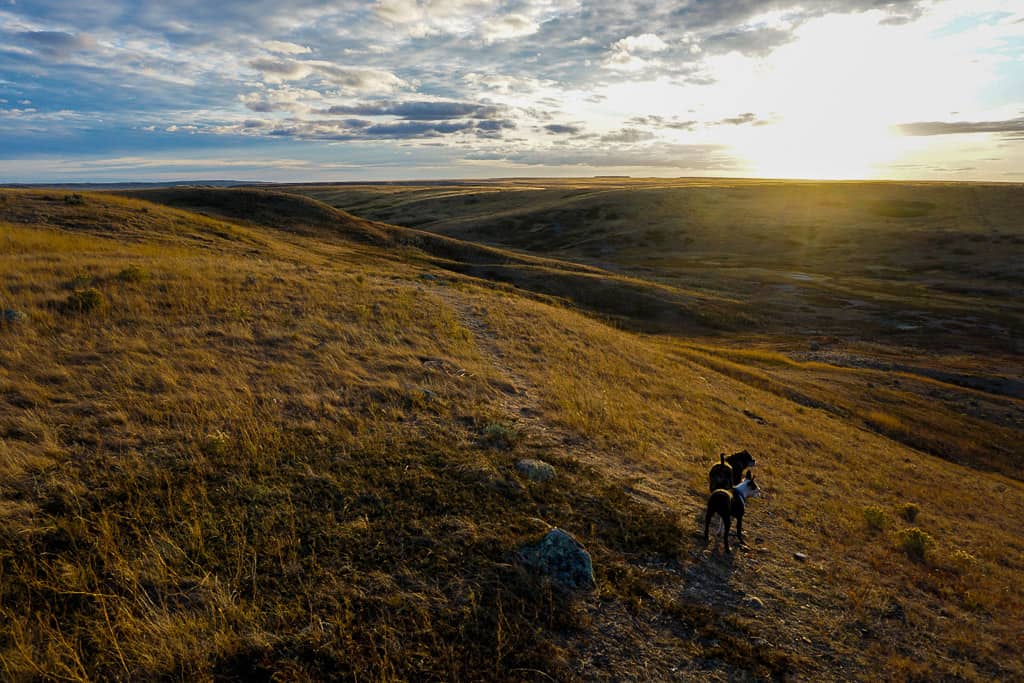 Grasslands National Park is one of the most beautiful places in Canada