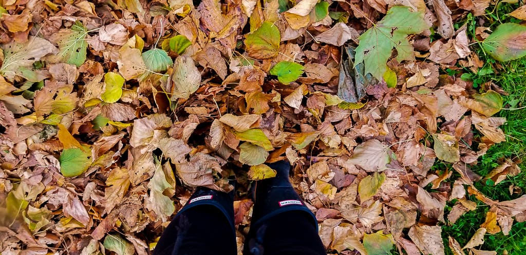 Getting outside is one of the things to do in Toronto this fall