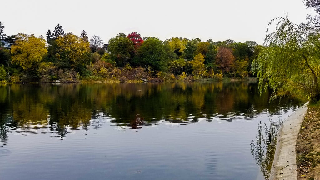 Taking in the fall colours is one of the best things to do in Toronto this fall