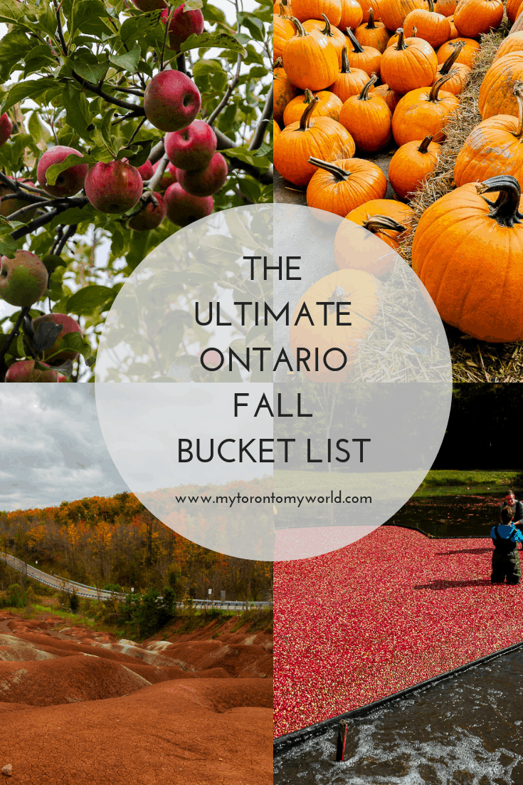 The Ultimate Ontario Fall Bucket List with a huge list of things to do in Ontario this fall