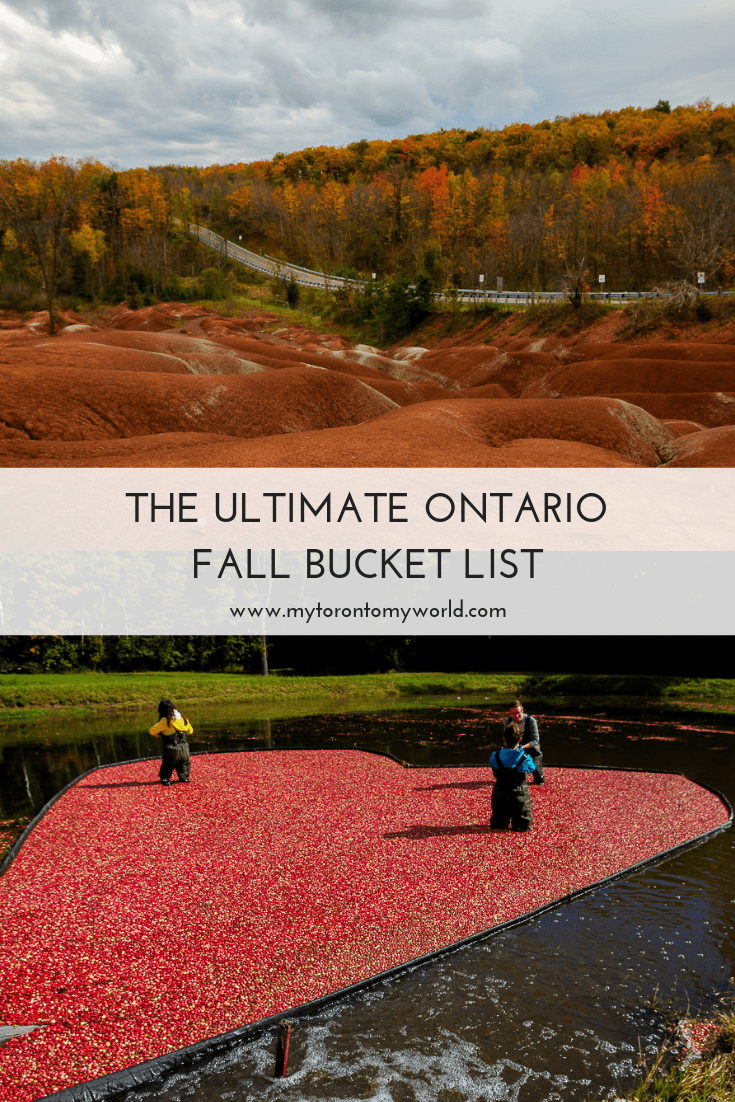 The Ultimate Ontario Fall Bucket List with a huge list of things to do in Ontario this fall