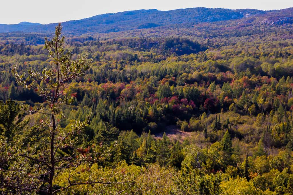 Visiting a provincial park is one of the things to do in Ontario this fall