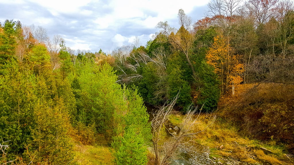 Visiting Rouge Urban National Park is one of the things to do in Toronto this fall