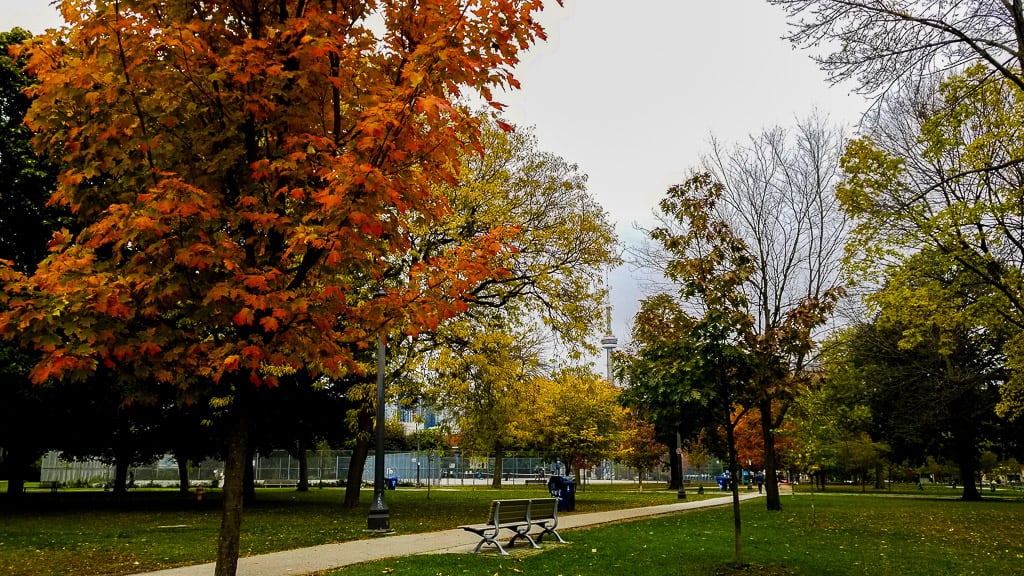 Taking pictures is one of the things to do in Toronto this fall